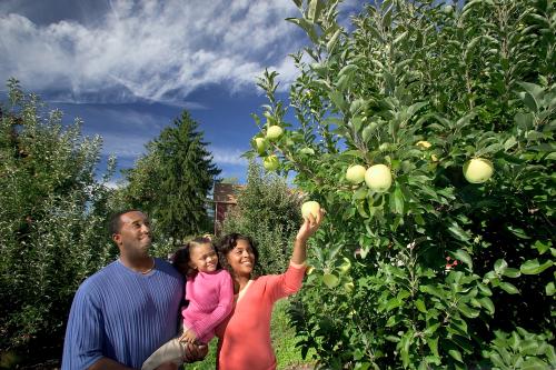 Robinette's Apple Haus & Winery Family Apple Picking