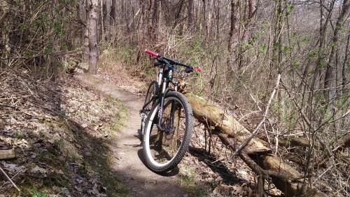 Mountain Bike on bike trail in Grand Rapids