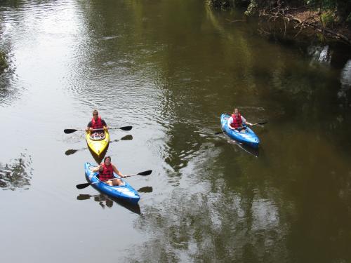 Kayaking with GR Paddling on the Grand River