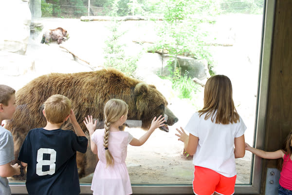 Children watching bear at the John Ball Zoo