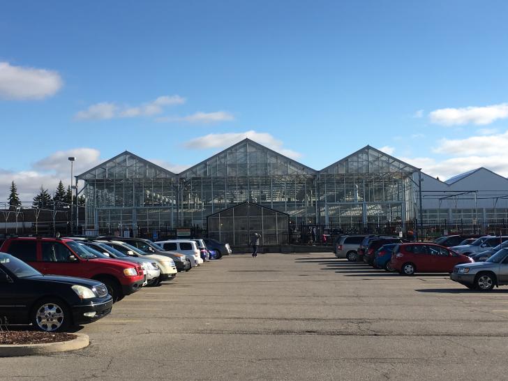 Horrocks Market greenhouse