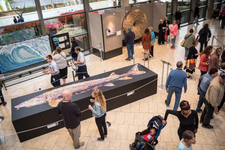 Crowd enjoying the Sand Sturgeon sand painting by Gary Moran at ArtPrize 2016