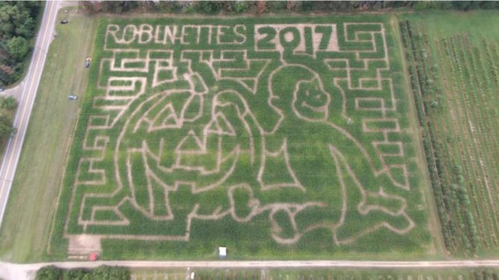 Robinette's 2017 Curious George corn maze in Grand Rapids