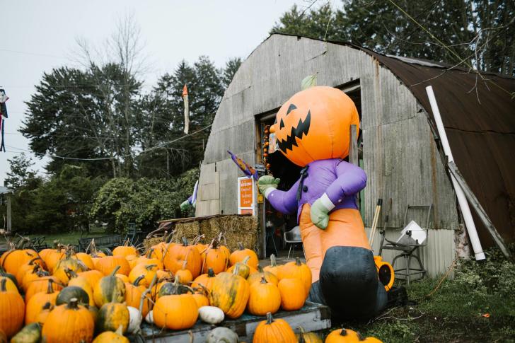 Pumpkins at Bethke Farms in Grand Havens, Michigan
