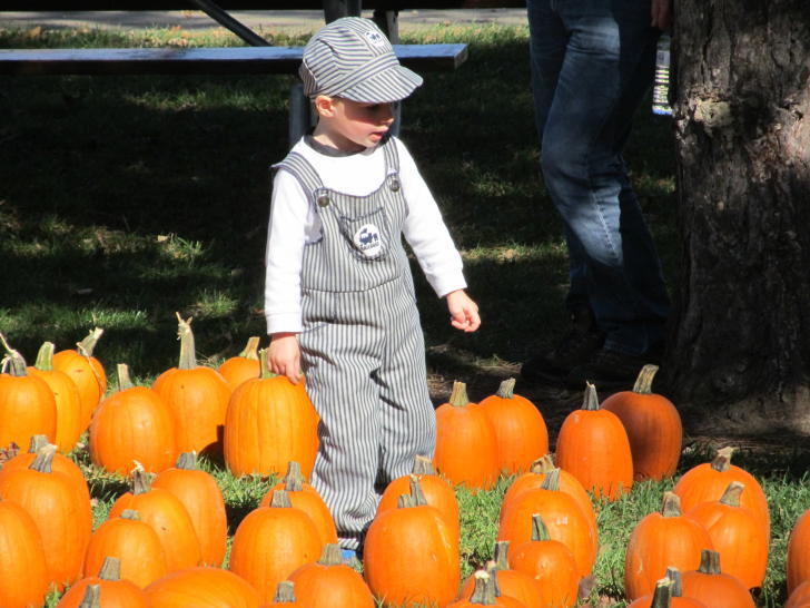 Kid in Halloween Pumpkin patch in Coopersville