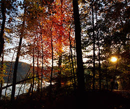 Fountainhead Regional Park