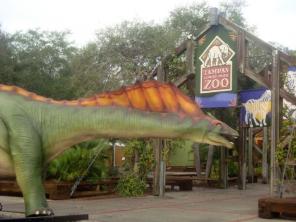 dino dino