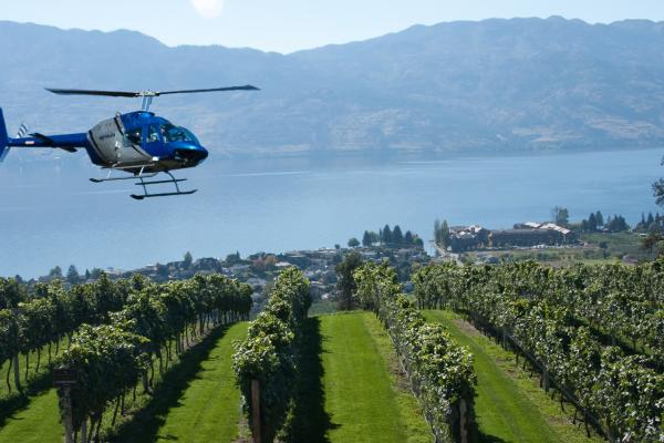 VIP Wine Tours with Valhalla Helicopters