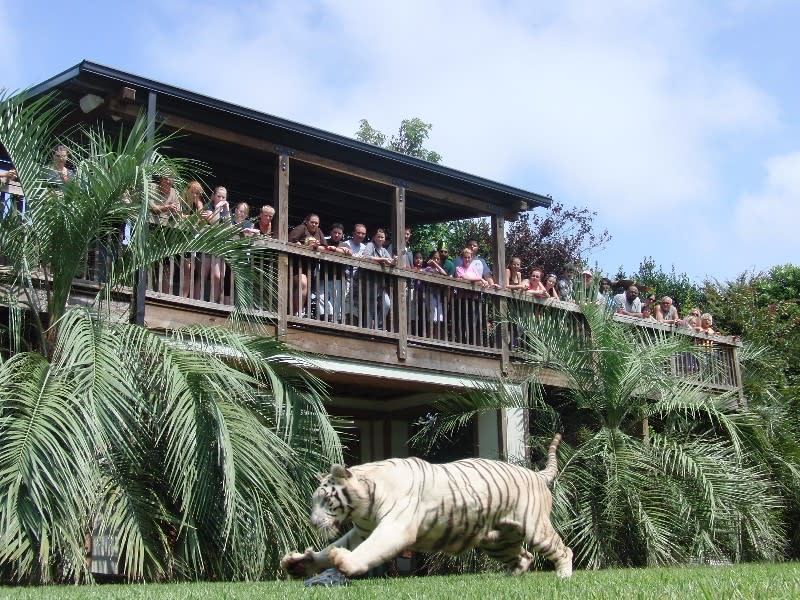 myrtle beach safari north carolina