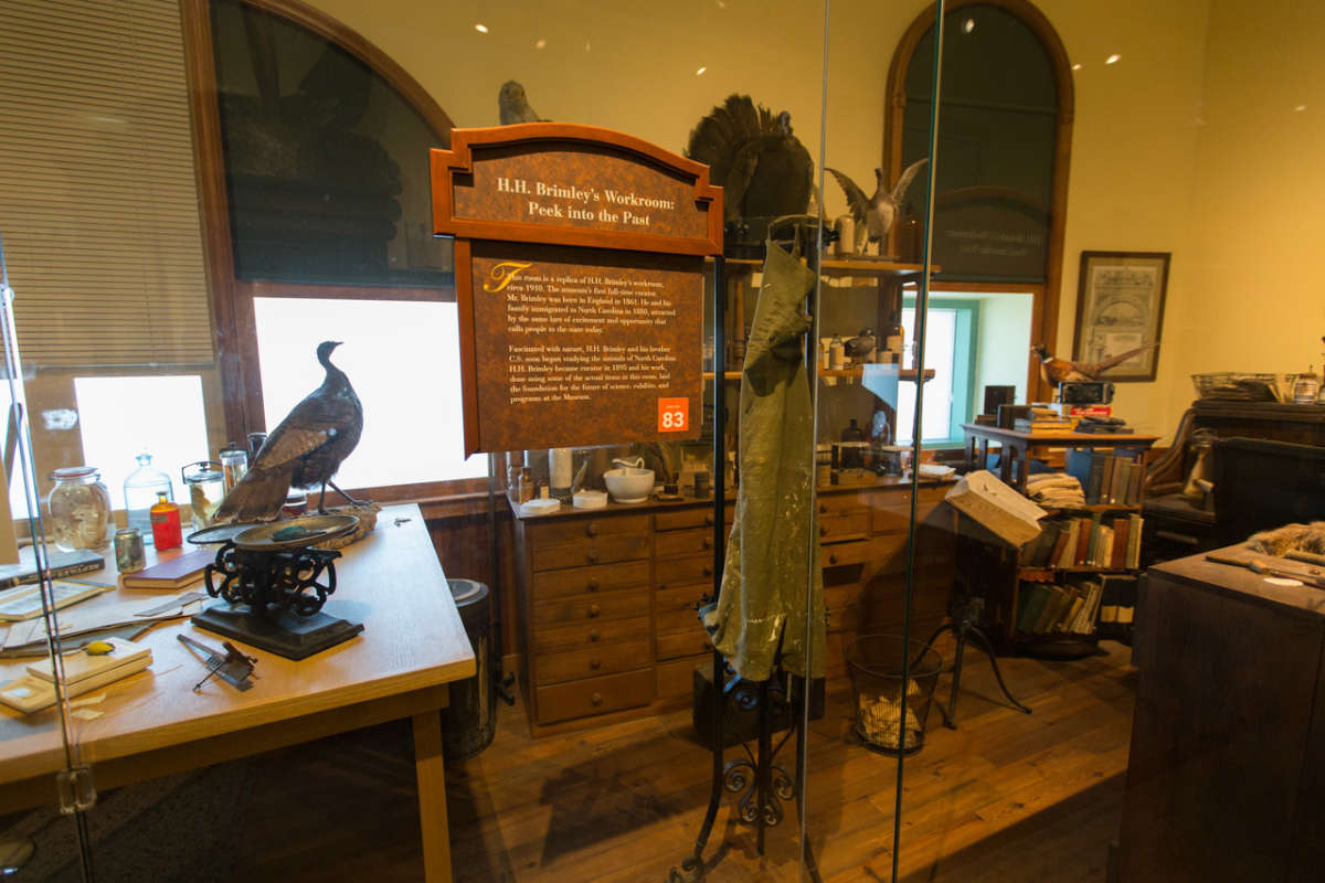 North Carolina Museum of Natural Sciences Raleigh, NC 27601