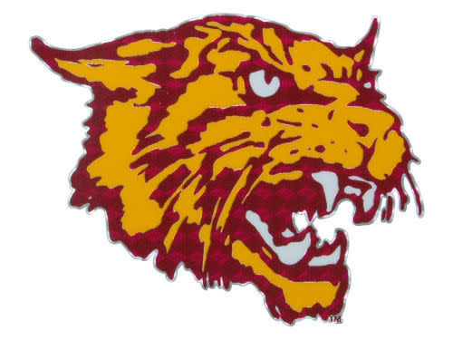 Daytona Beach Baseball Team Daytona Beach Baseball Team