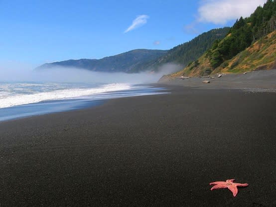 Black Sand Beach Resort Iceland Black Sand Beach Resort Iceland