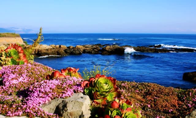 Shelter Cove On The Lost Coast