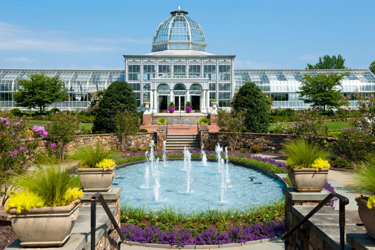 Lewis Ginter Botanical Garden Ab414cef 5056 A36a 09b2c9bae59ab301 Jpg New Lewis Ginter Tulips And Conservatory At Botanical Garden