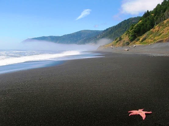 Humboldt County Beach Weddings Humboldt County Beach Weddings