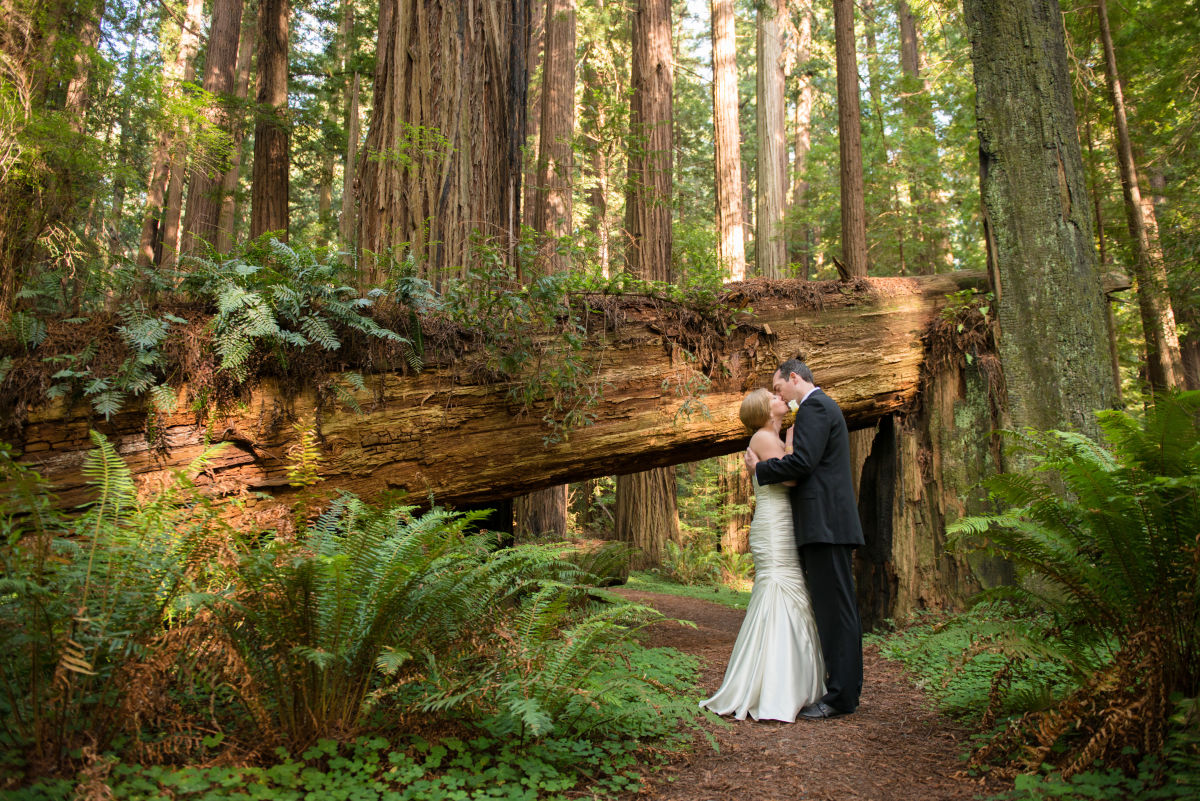 Hotels Near Redwood National And State Parks Hotels Near Redwood National And State Parks