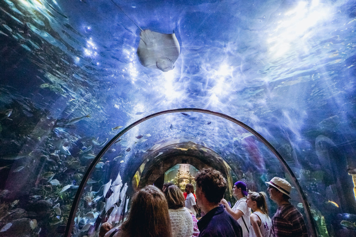 Audubon Aquarium of th...