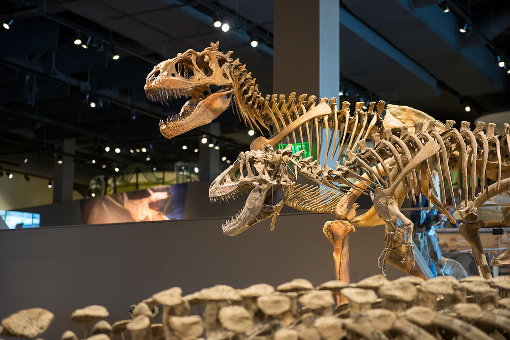 Natural History Museum of Utah at the Rio Tinto Center