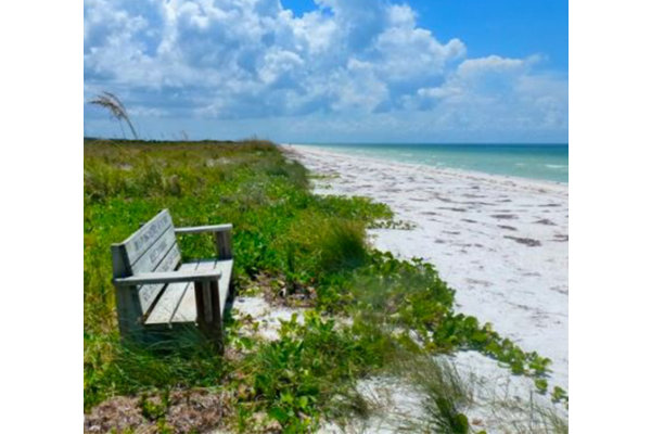Honeymoon Island State Park Honeymoon Island State Park