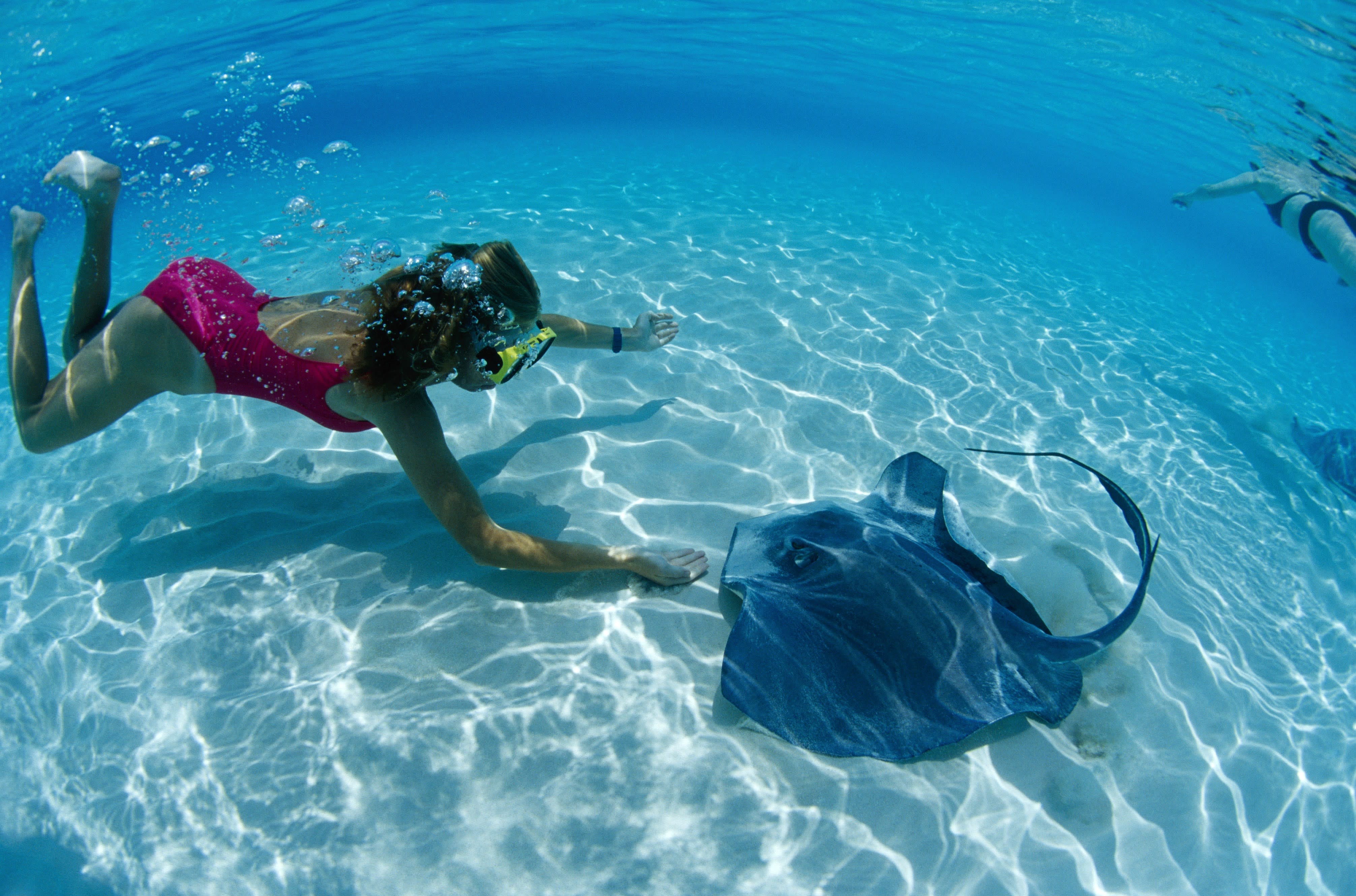 Long Island Aquarium Riverhead, NY 11901