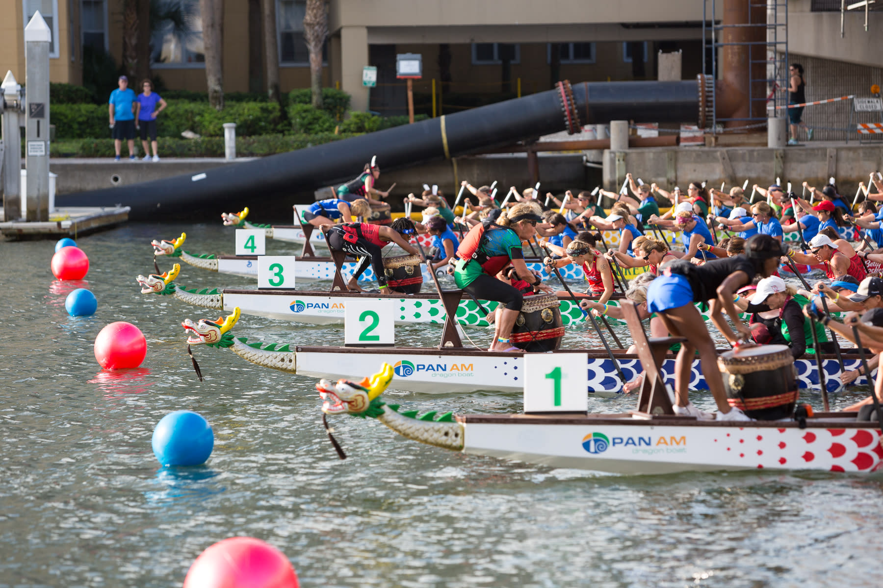 Tampa Bay International Dragon Boat Races