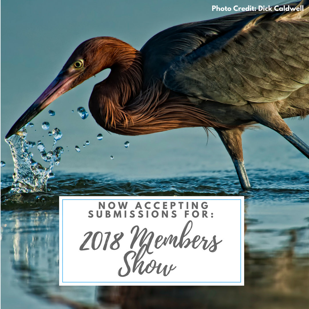 FMoPA 2018 Members Show