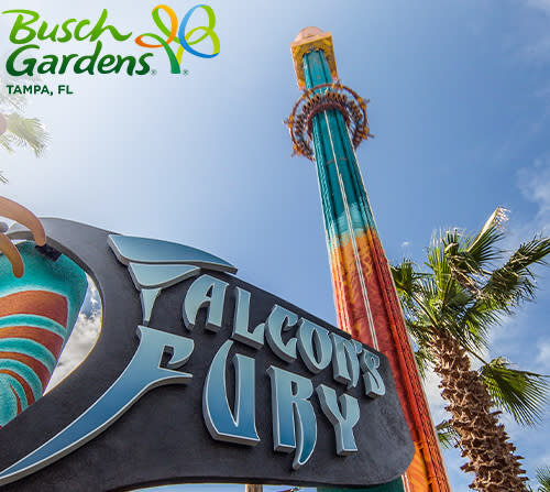 Discounts on Top Attractions with the Tampa Bay CityPASS