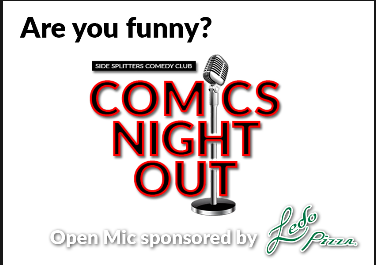 Are You Funny? Comics Night Out