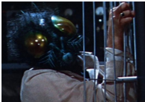 The Fly (1958)