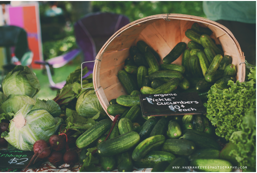 Fresh Market at Hyde Park Village