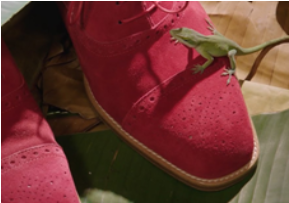 Manolo: the Boy Who Made Shoes for Lizards (2017)