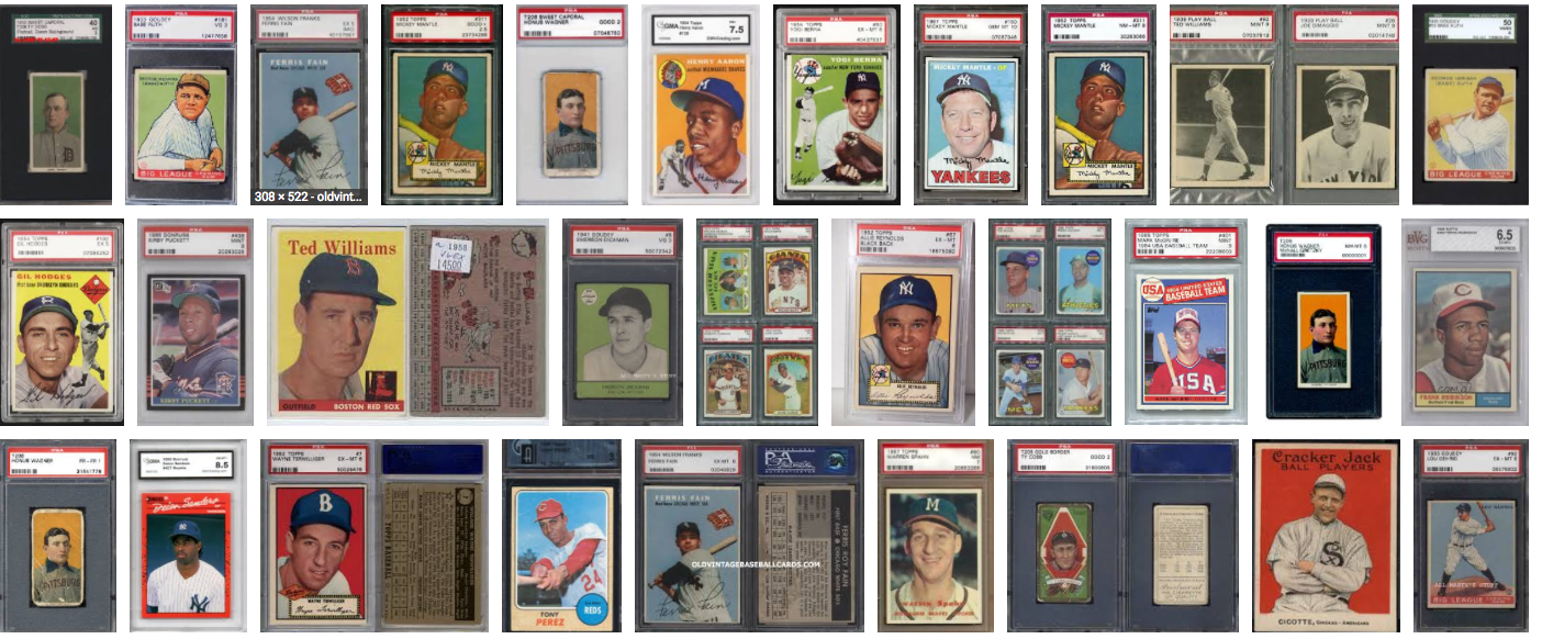 Tampa Sports Card and Collectible Show