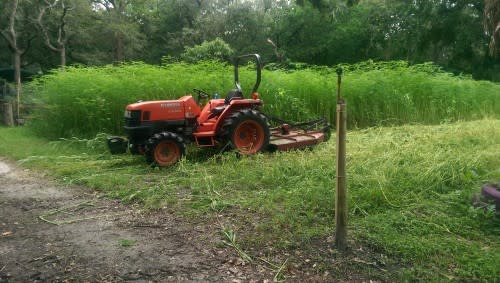 Free Farm Tour!