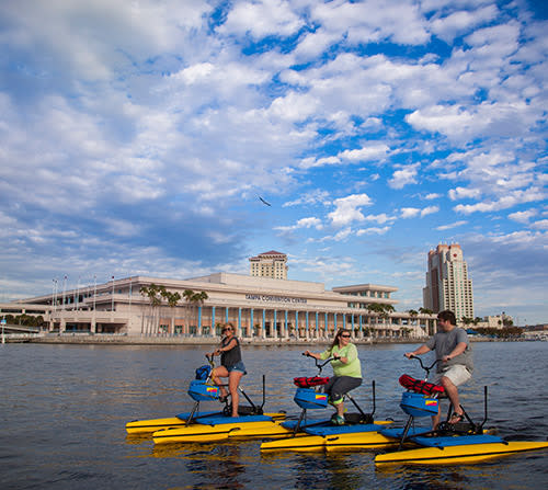 20% off a regular admission when you book online
