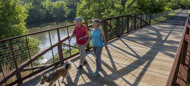 Pet Friendly Asheville Nc S Official Travel Site Tips For Visiting Asheville With A Dog