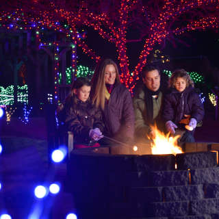 Family Making Smores at Winter Lights