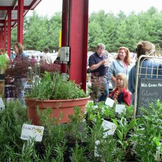 5 Asheville Food Festivals to Savor in May