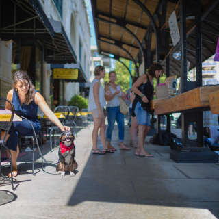 Pet Friendly Dining at the Grove Arcade