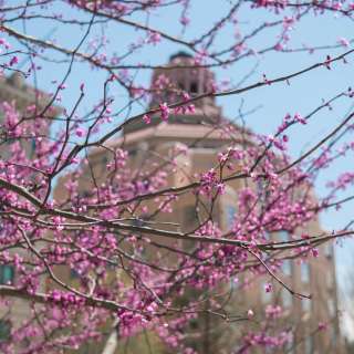 Spring in Asheville