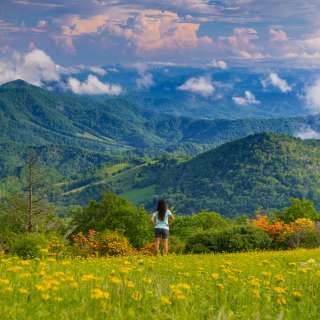 Spring Hike