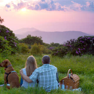 Craggy Gardens Picnic