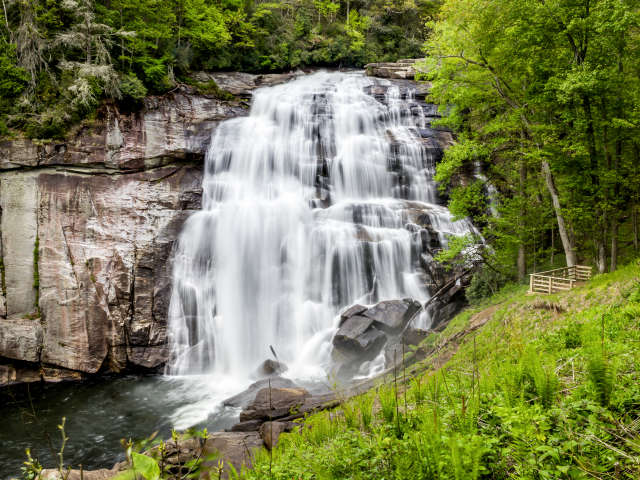 Gorges State Park Asheville Nc S Official Travel Site