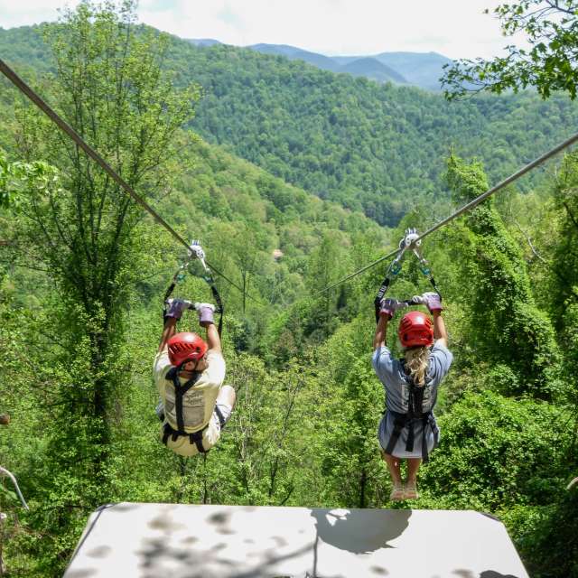 Fall Activities in Asheville Color Reports & Scenic Drives