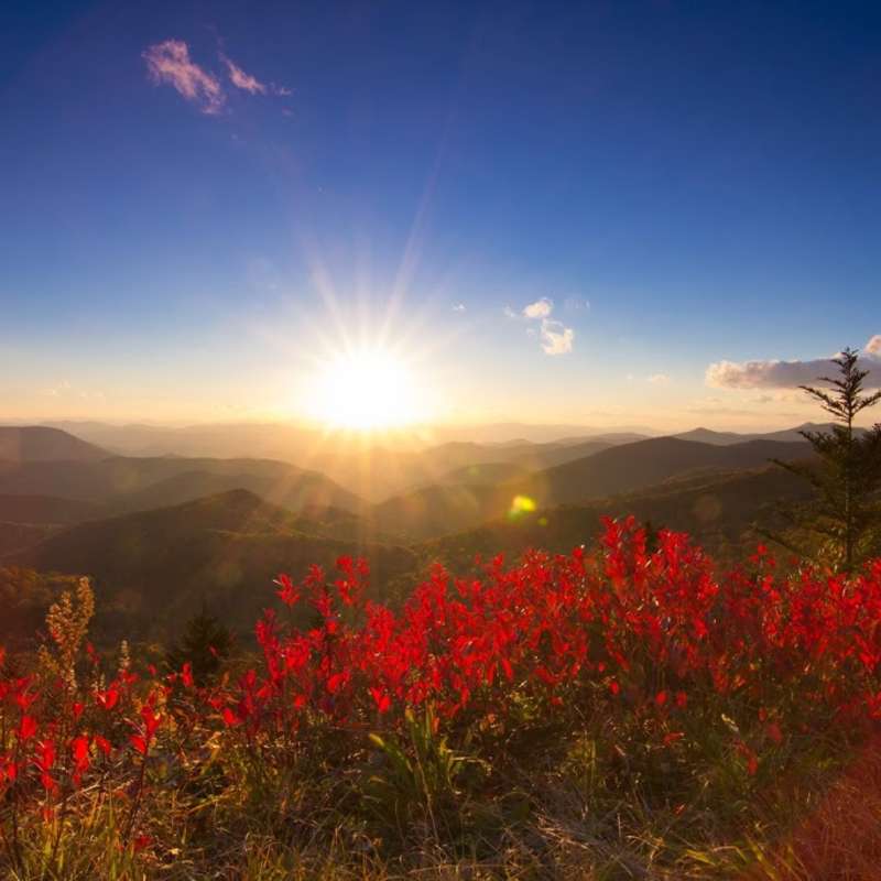 Things to Do in Asheville, N.C. in the Fall Asheville, NC's Official
