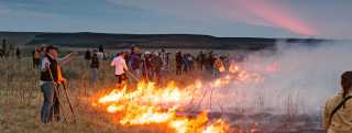 Flames in the Flint Hills