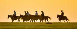 Copy of Symphony in the Flint Hills