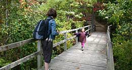 Mason Neck State Park - Hiking - Nature