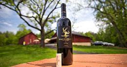 Paradise Springs Winery - Clifton