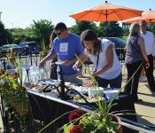 Partner Summer Social 2017