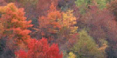 Insider Fall Travel Tips